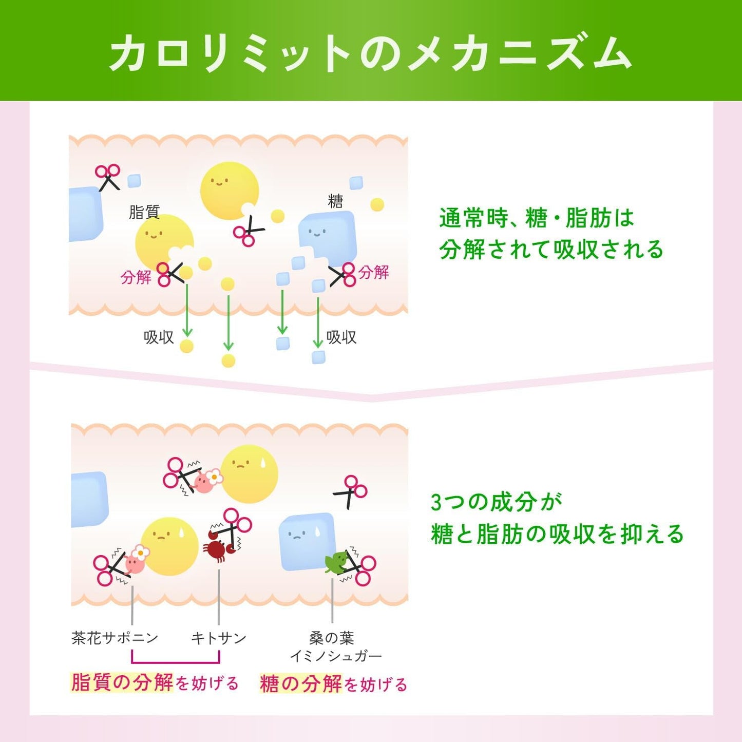 FANCL 卡路里限制 | 日本碳水阻断健康补充剂