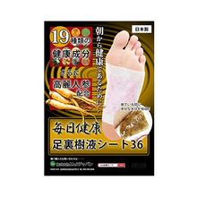 Tải hình ảnh vào trình xem Thư viện, Japanese detox foot pads