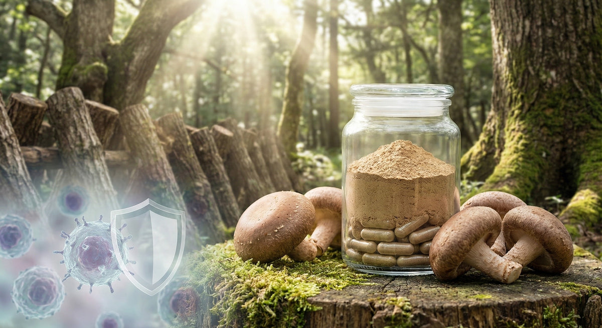 Shiitake Mushroom Health Benefits