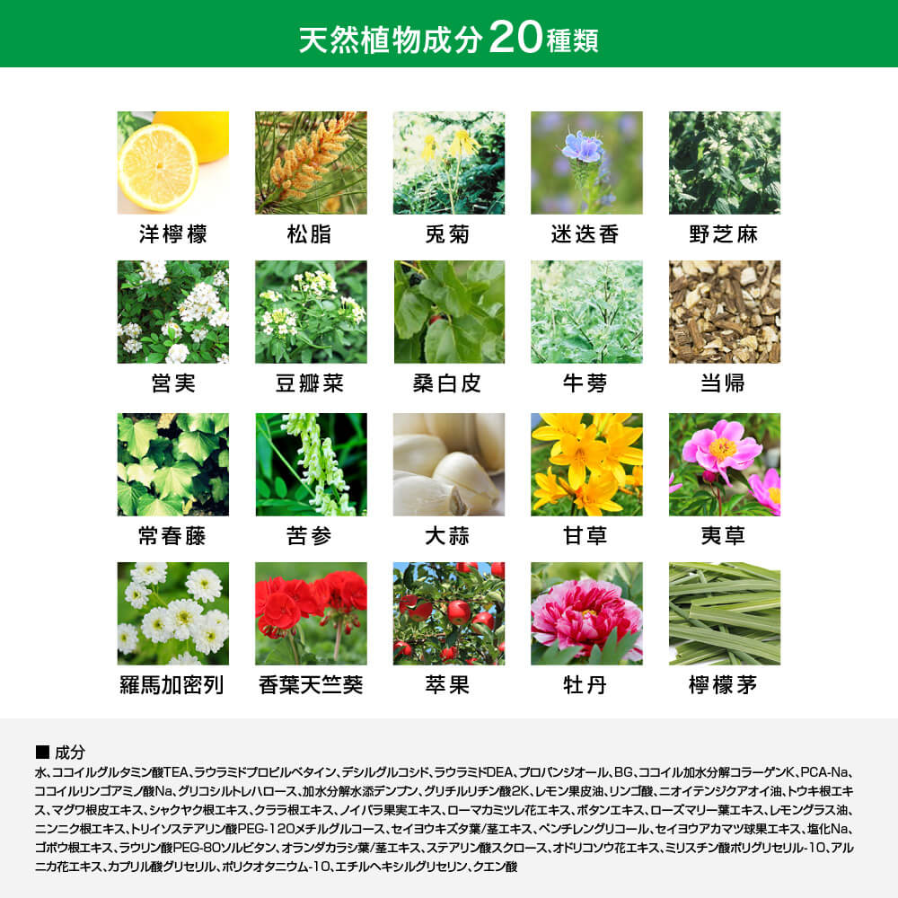 Reve21 活力洗髮精 R：專業頭皮護理防脫髮洗髮精