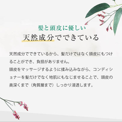 REVE21 Fejbőrkezelő Hajbalzsam | 10 Növényi Kivonat az Egészséges Hajért