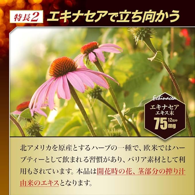 Agaricus Blazei DX: Integratore Premium di Beta Glucano per il Sostegno del Sistema Immunitario