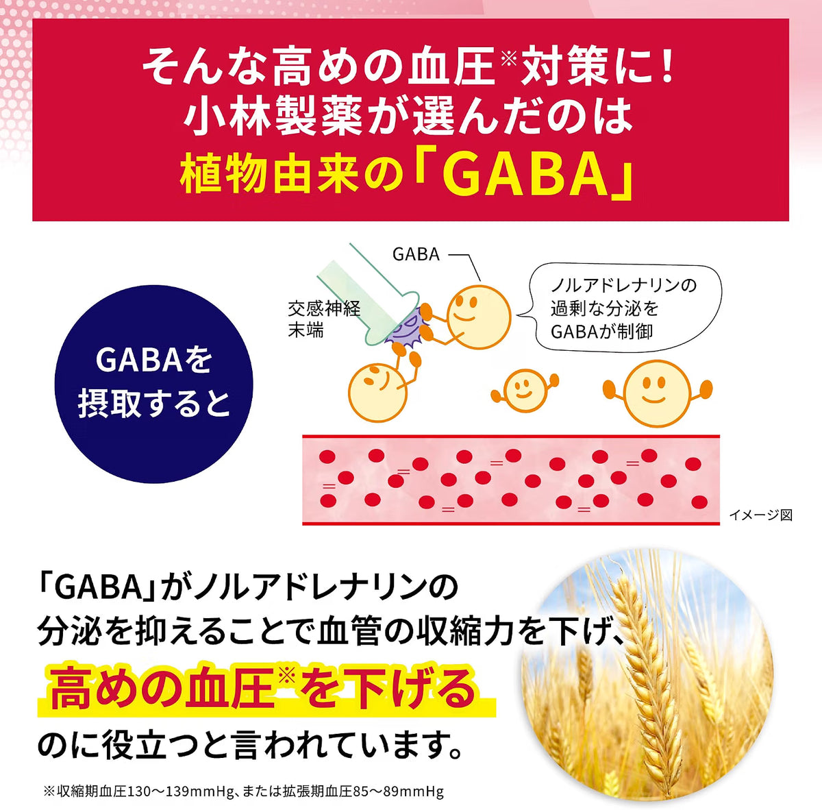 GABA ช่วยดูแลความดันโลหิต