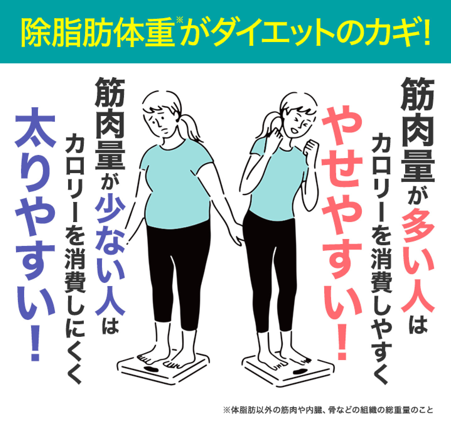 Suplemento para Apoyo al Peso DHC Forskolin | Suministro para 30-60 Días