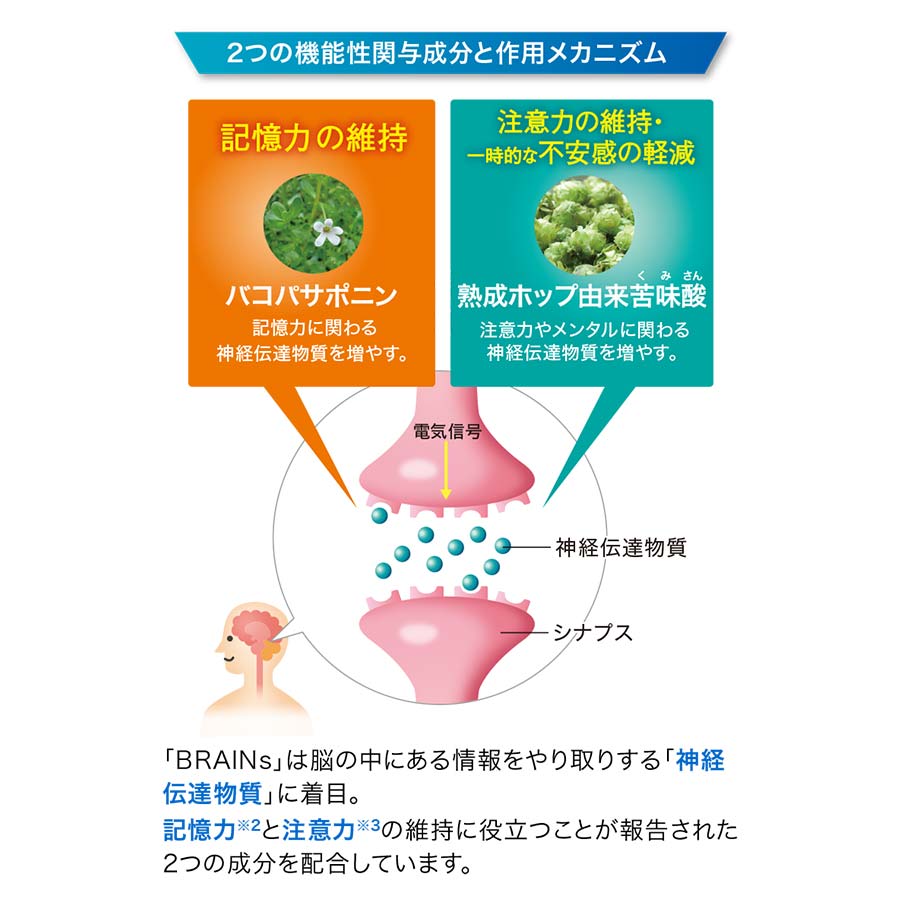 แฟนเคล สมอง: อาหารเสริมบำรุงความจำญี่ปุ่นเพื่อสมาธิและความชัดเจน