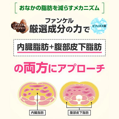 Sokongan Dalaman Badan FANCL: Suplemen Lemak Perut Jepun dengan Probiotik