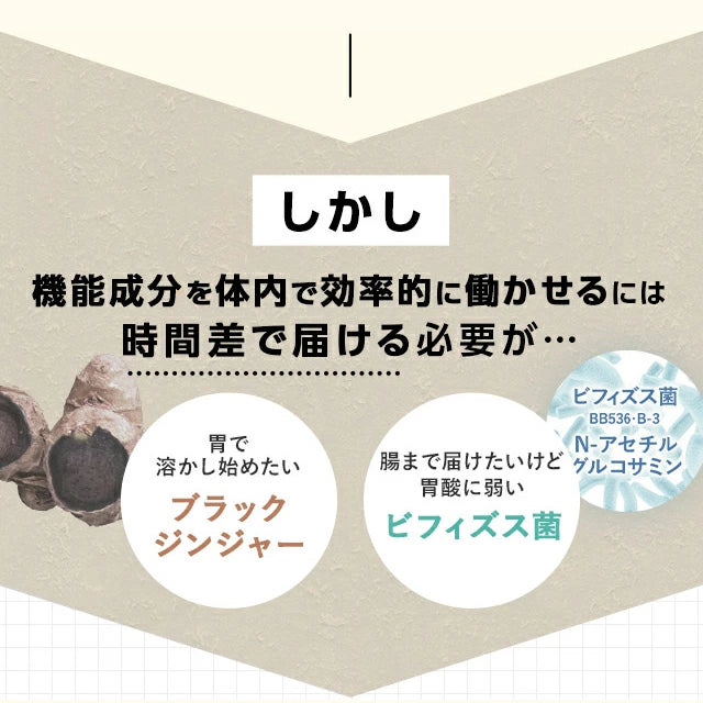 Sokongan Dalaman Badan FANCL: Suplemen Lemak Perut Jepun dengan Probiotik