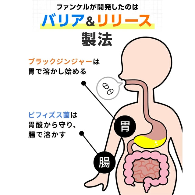 Sokongan Dalaman Badan FANCL: Suplemen Lemak Perut Jepun dengan Probiotik