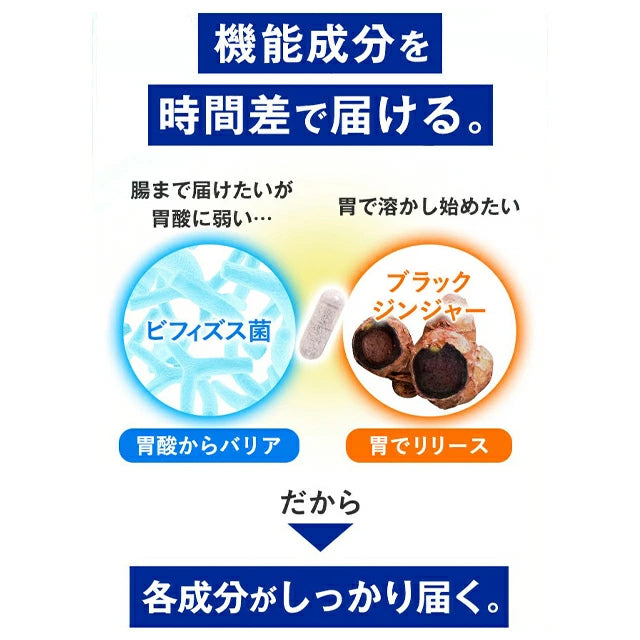 Sokongan Dalaman Badan FANCL: Suplemen Lemak Perut Jepun dengan Probiotik