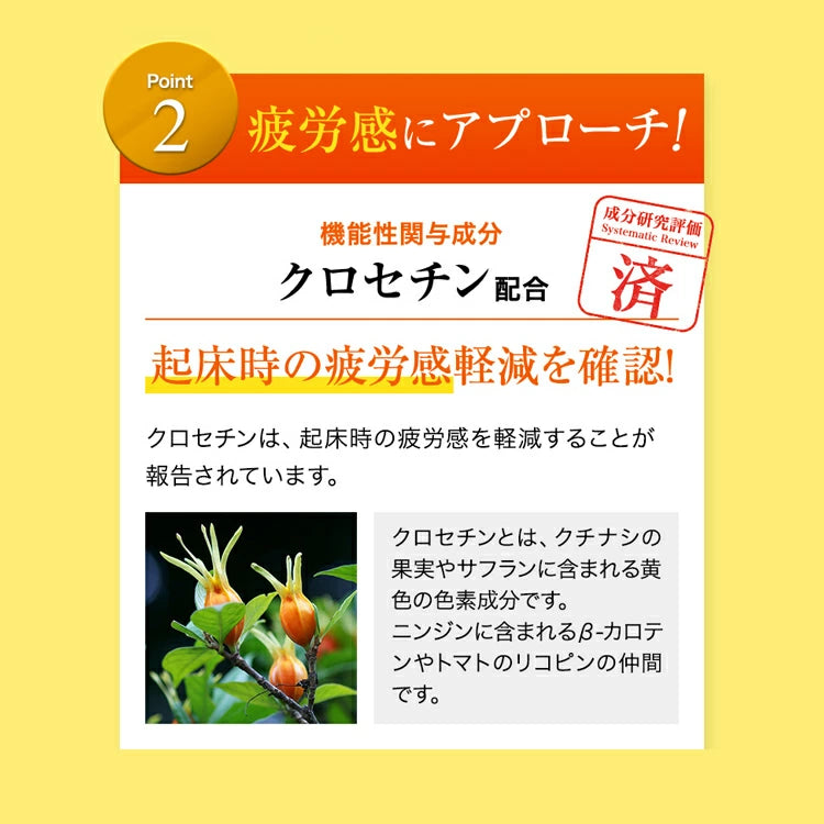 FANCL Uyku ve Yorgunluk Bakımı: Daha İyi Uyku İçin Japon Ornitin Takviyesi