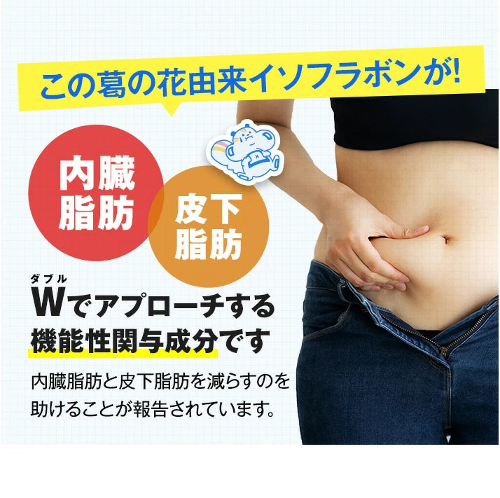 Onaka: Japans Nr. 1 Fettverbrennungsmittel für Bauchfett unter der Haut und im Bauchraum