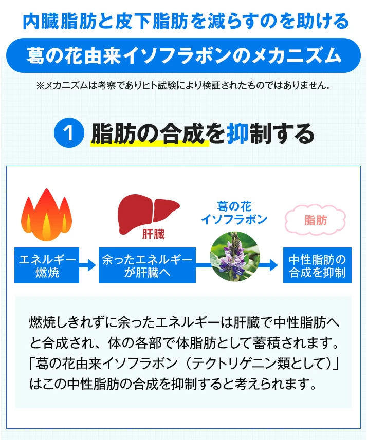 Onaka: Japans Nr. 1 Fettverbrennungsmittel für Bauchfett unter der Haut und im Bauchraum