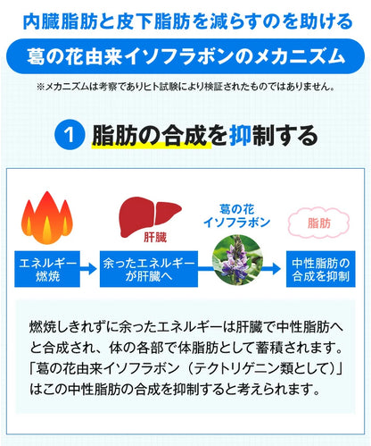 Onaka: Japans Nr. 1 Fettverbrennungsmittel für Bauchfett unter der Haut und im Bauchraum