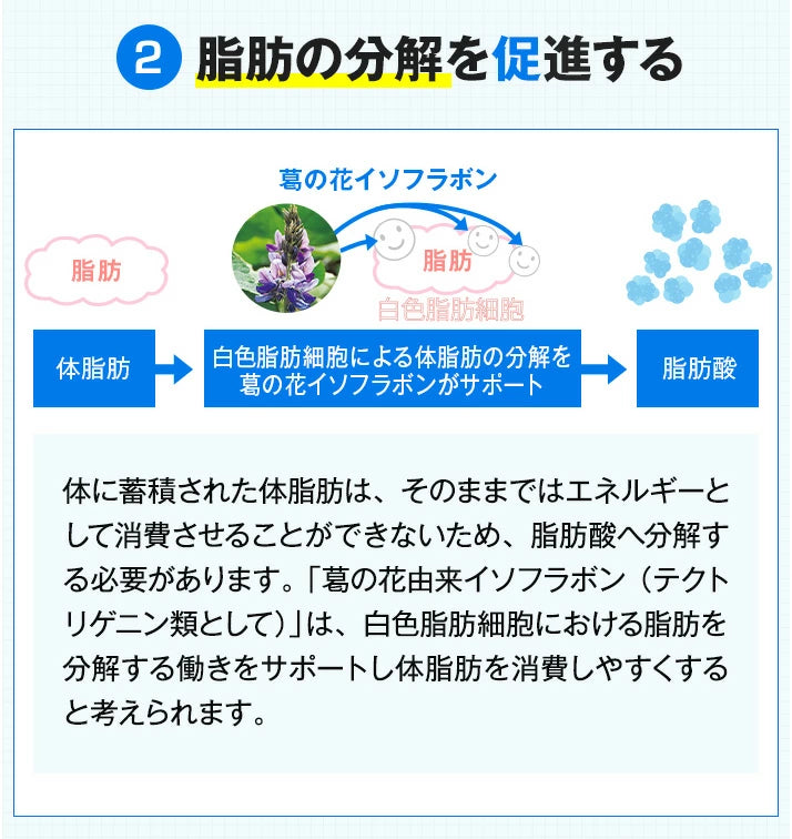 Onaka: Japans Nr. 1 Fettverbrennungsmittel für Bauchfett unter der Haut und im Bauchraum