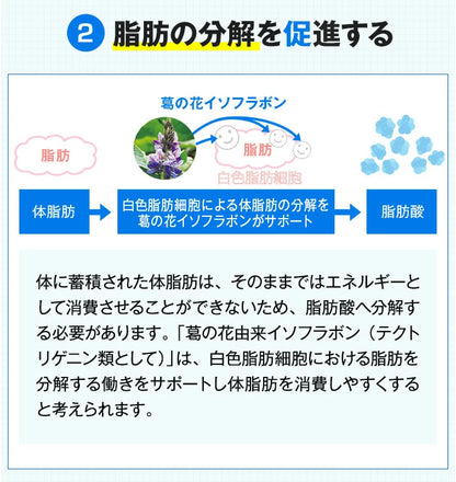 Onaka: Japans Nr. 1 Fettverbrennungsmittel für Bauchfett unter der Haut und im Bauchraum
