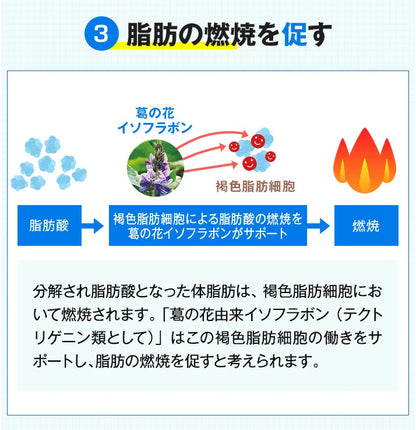 Onaka: Japans Nr. 1 Fettverbrennungsmittel für Bauchfett unter der Haut und im Bauchraum