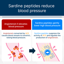Load image into Gallery viewer, Eisai Helcare | Blood Pressure Health Supplement | 30 packets (4 tablets each)
