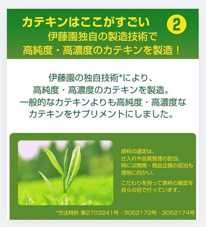 兒茶素補充劑：日本綠茶萃取物助減體脂