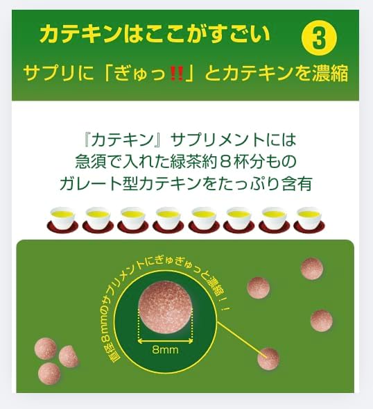 兒茶素補充劑：日本綠茶萃取物助減體脂