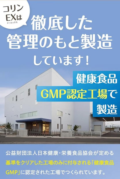 Kewpie Kolin EX | Agyköd és Emlékezet Támogató Készítmény | Tojássárgája Kolin 30 Napra Elegendő Adag