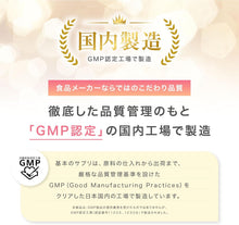 Load image into Gallery viewer, Kikkoman Basic Supplement Soy Isoflavone Aglycone | 60 Tablets ×3 21 Day Supply
