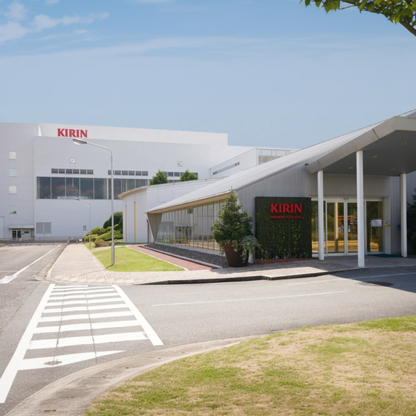 Kirin Holdings Società a Responsabilità Limitata