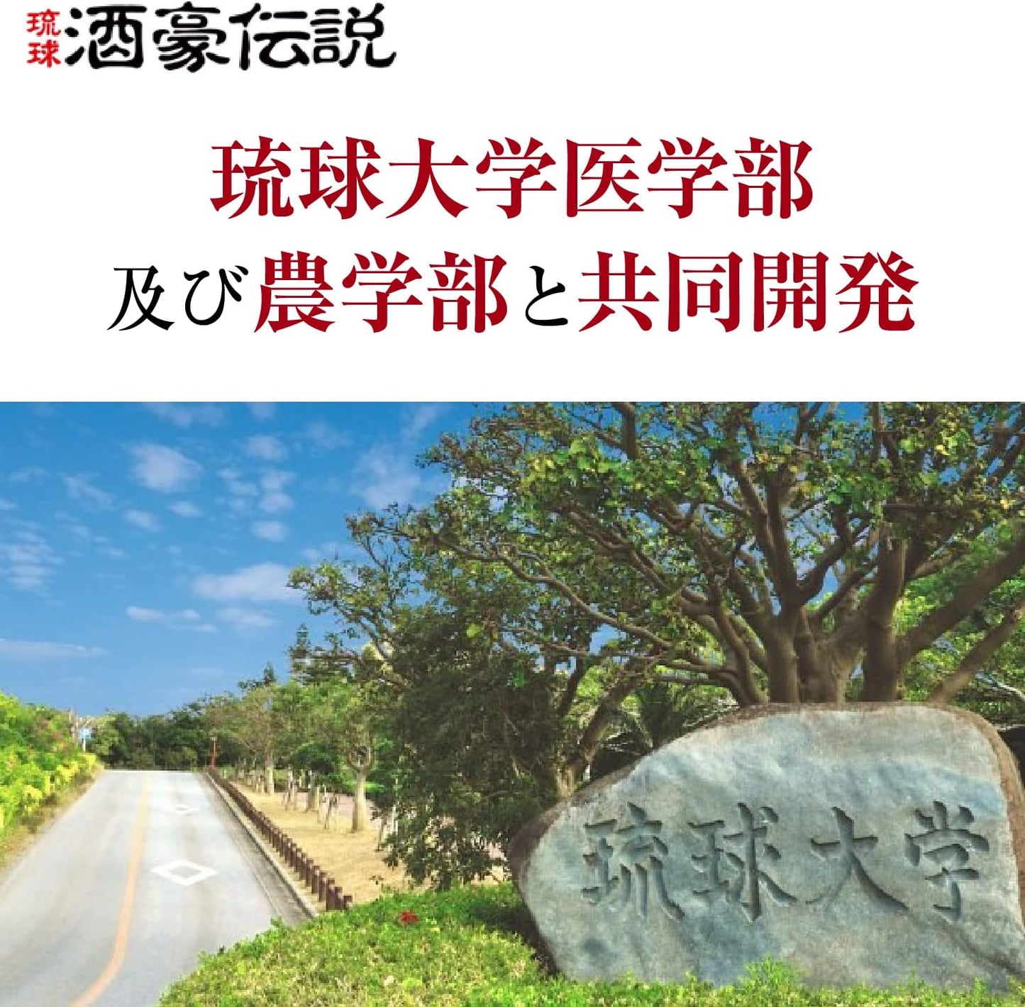 Okinawa Ukon | Legendäre Kurkuma-Nahrungsergänzungsmittel für Trinkfreudige