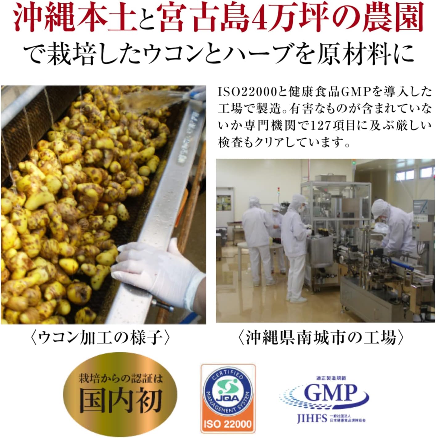 Okinawa Ukon | Legendäre Kurkuma-Nahrungsergänzungsmittel für Trinkfreudige