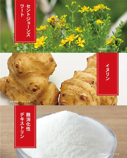 滿福智慧：日本食慾控制助減重