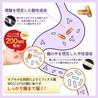 Bifidobacterium Breve Előnyei: Japán Emlékezet Támogató Élőflóra Készítmény