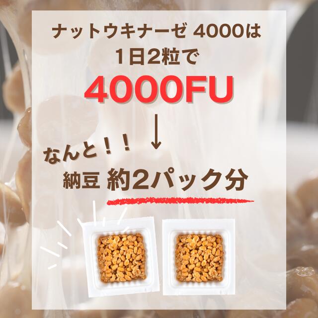 Nattokinase Nhật Bản 4000: Thực phẩm bổ trợ cao cấp hỗ trợ tuần hoàn máu