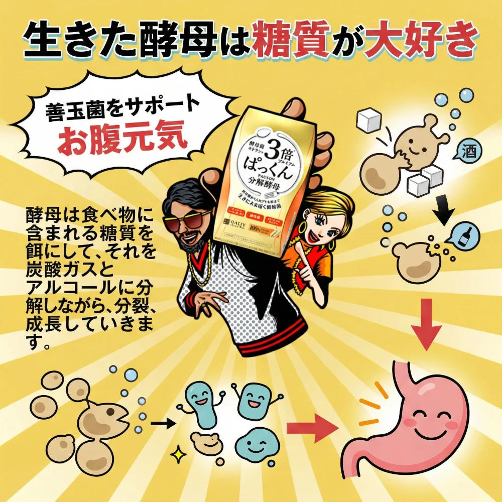 Yis Perpecahan Pakkun Premium