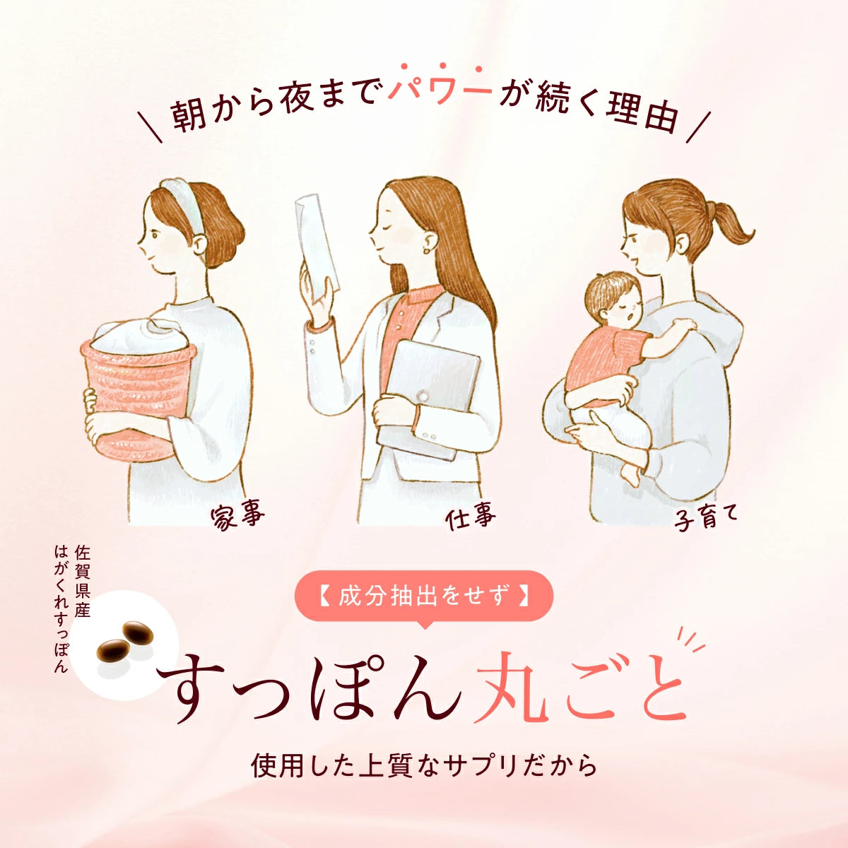 甲魚小町 | 日本頂級胺基酸與膠原蛋白補充品（女性專用）