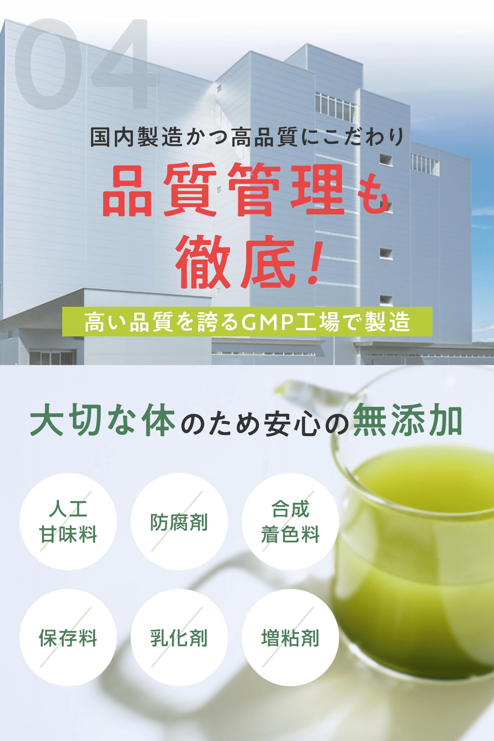 Teaflex Metabolism Boosting Tea | Diet Green Tea | 90g – Naturacare
