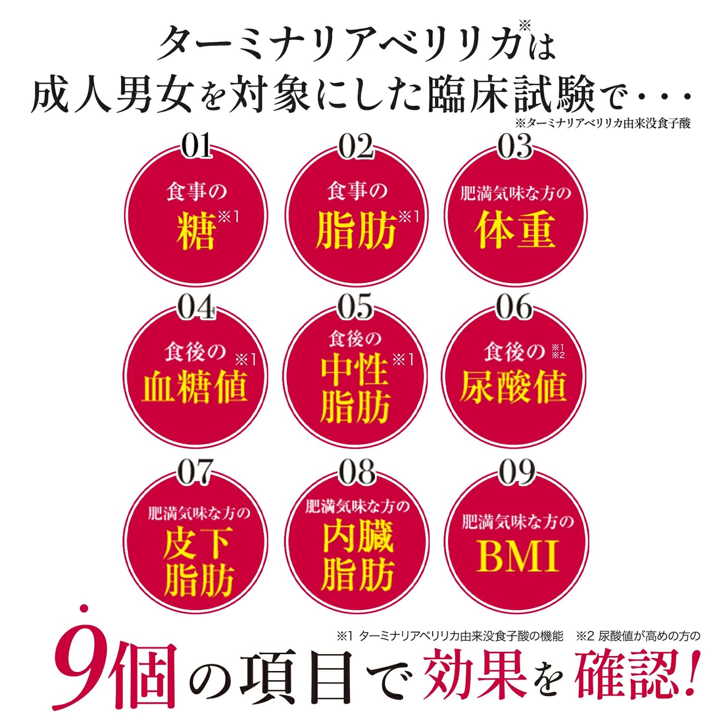 Terminalia First: Japanischer Zuckerblocker zur Diätunterstützung