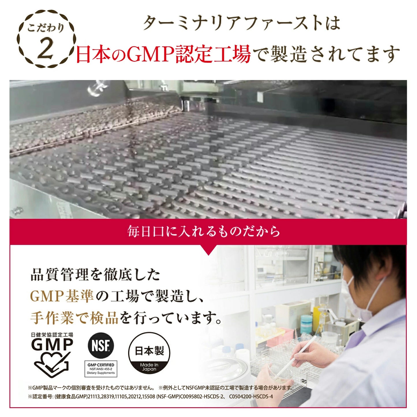 Terminalia First: Japanischer Zuckerblocker zur Diätunterstützung