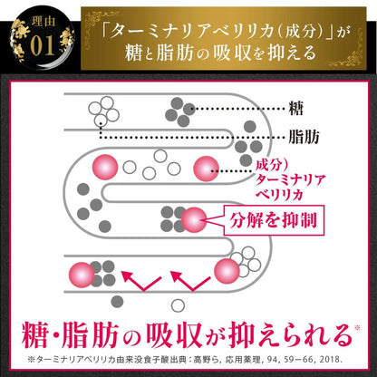 Terminalia First: Japanischer Zuckerblocker zur Diätunterstützung