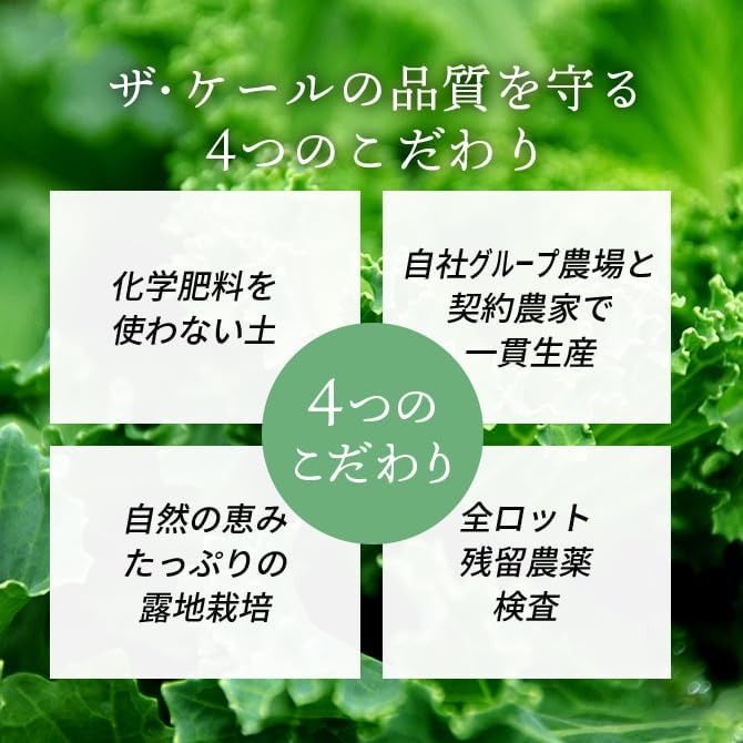 羽衣甘蓝：优质日本羽衣甘蓝粉，日常营养补充