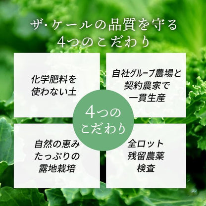 羽衣甘蓝：优质日本羽衣甘蓝粉，日常营养补充