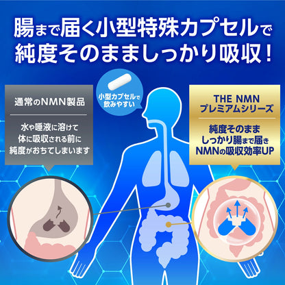 Laadukkaat NMN-valmisteet: 5000 mg japanilainen kaava solujen energiaksi