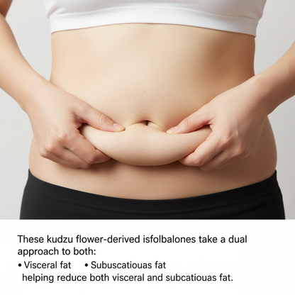 Onaka: Japans Nr. 1 Fettverbrennungsmittel für Bauchfett unter der Haut und im Bauchraum