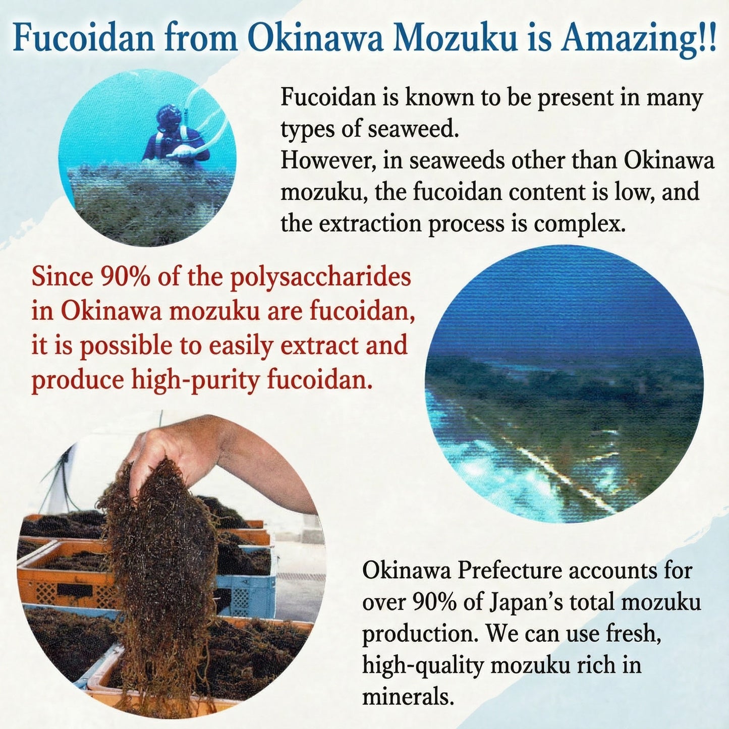 โอกินาวะ ฟูโคอิแดน: สาหร่ายโมซุกุชั้นเลิศจากญี่ปุ่น เสริมสร้างภูมิคุ้มกัน
