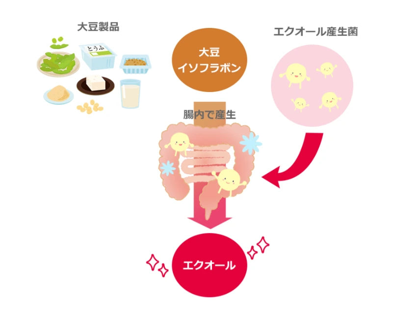 Inochi no Haha: Japońskie witaminy na menopauzę ze wsparciem S-ekwolu