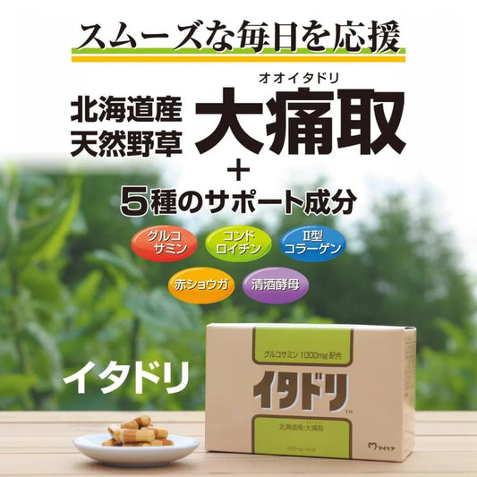 Itadori: Japanese Knotweed Supplement for Joint Comfort & Cellular Health