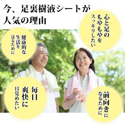 Japońskie plastry detoksykujące na stopy - 19 naturalnych składników | Wyprodukowano w Japonii