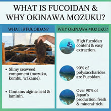 Tải hình ảnh vào trình xem Thư viện, Kanehide Bio Okinawa Fucoidan High Potency 42g Extract | 180 Capsules
