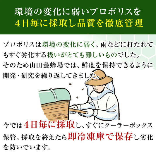 Propolis 300: Premium Japanese Propolis Supplement for Immune Support