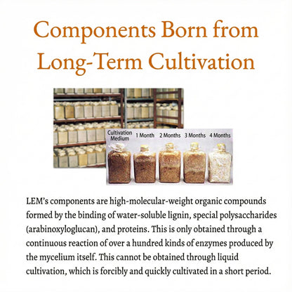 LEM 표고버섯 균사체 추출물 | 고급 일본산 면역력 증진 보조제