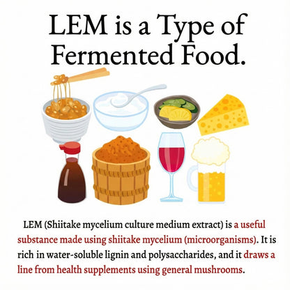 LEM 표고버섯 균사체 추출물 | 고급 일본산 면역력 증진 보조제