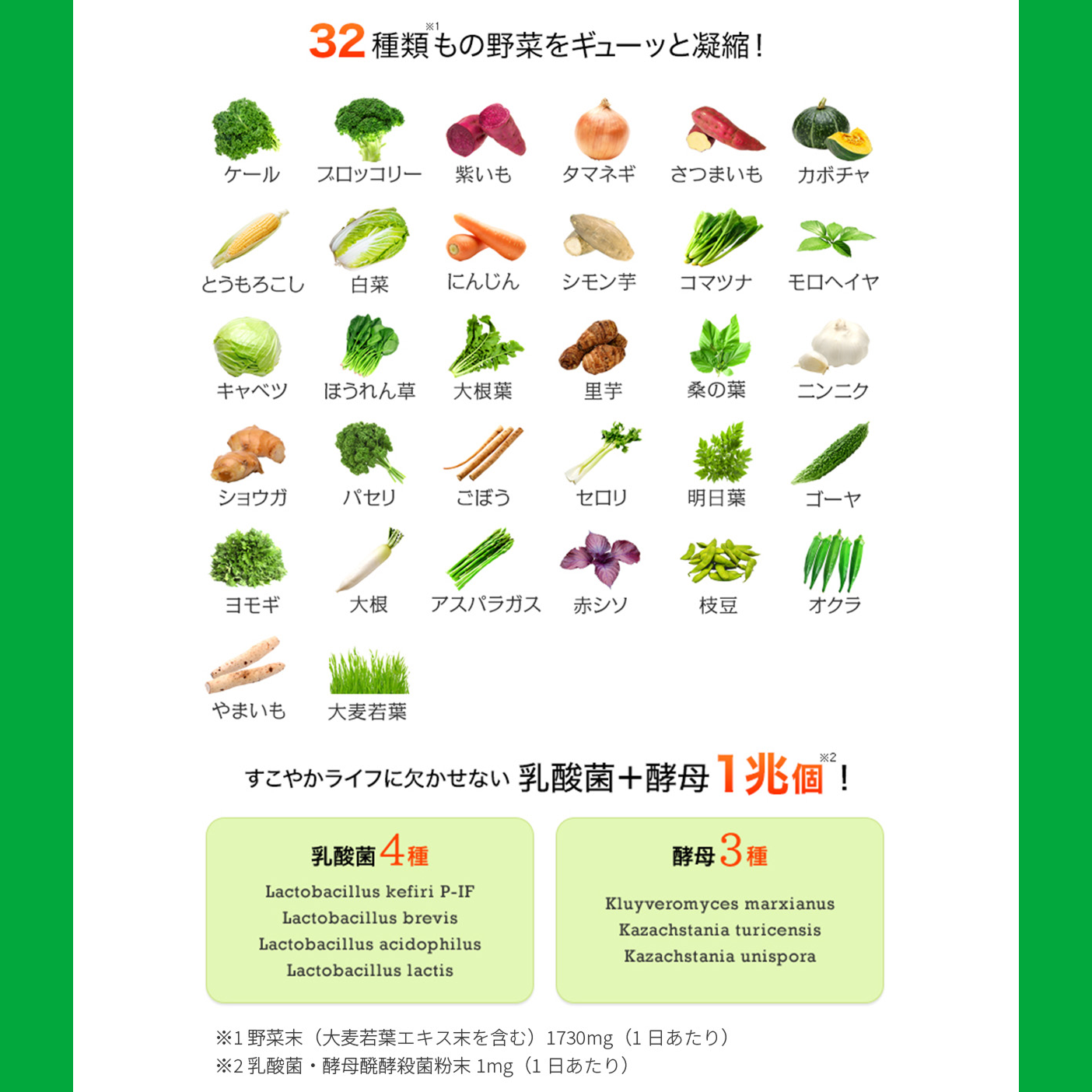 DHC 完美蔬菜尊貴版：完整日本蔬菜補充品